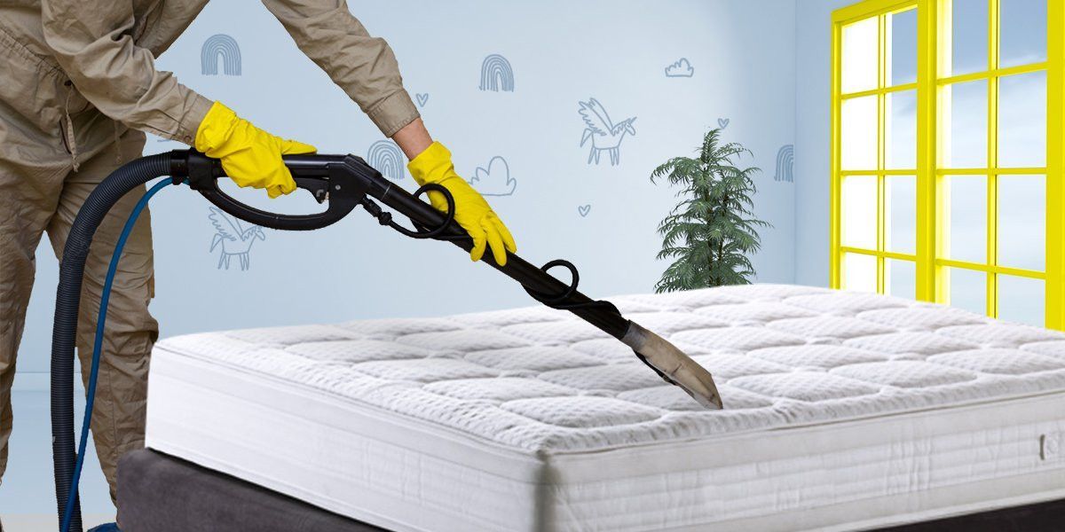 Mattress cleaning service